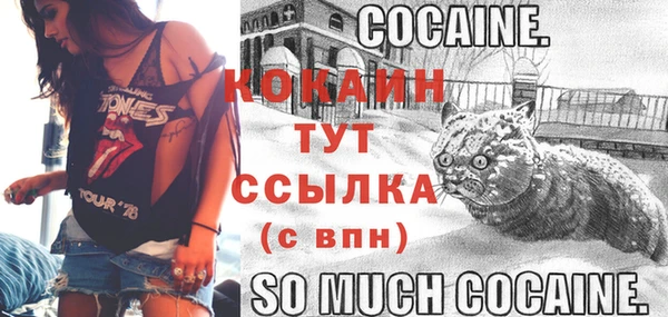 Альфа ПВП Белокуриха