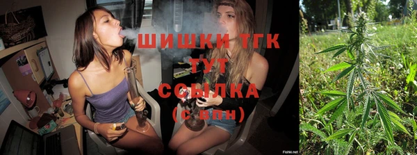 Альфа ПВП Белокуриха