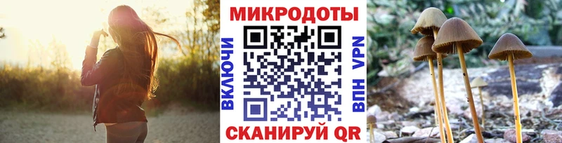 Галлюциногенные грибы Psilocybe  Нефтеюганск 